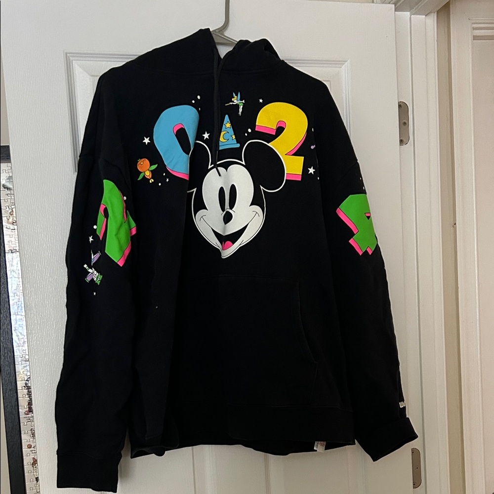 Walt Disney World 2024 Hoodie